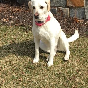 Meet your Posher, Kenneth